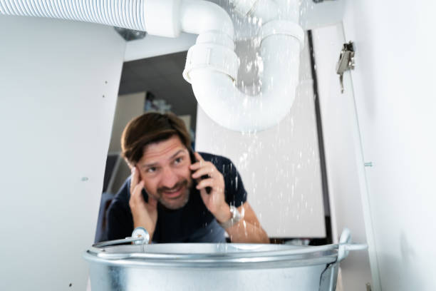 Best Sprinkler Systems  in Lemont, PA